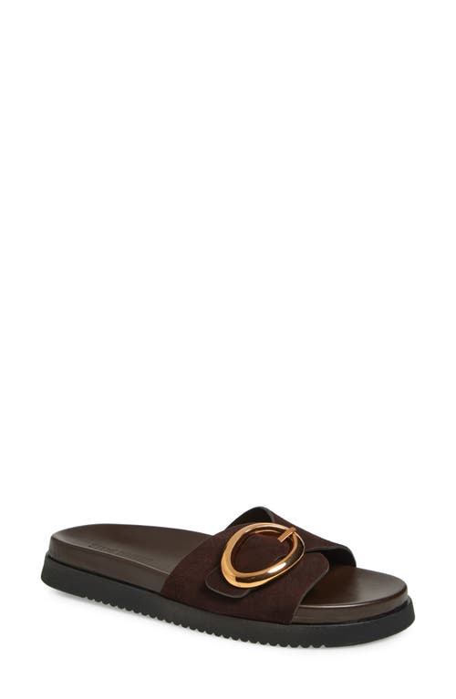 Shop Steve Madden Mandie Slide Sandal In Brown Sued