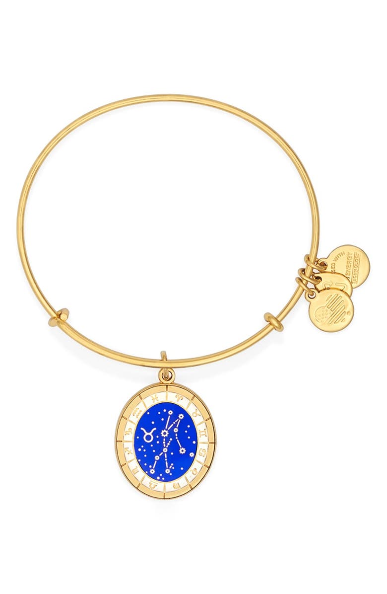 Alex and Ani 'Constellation' Bangle, Main, color, 