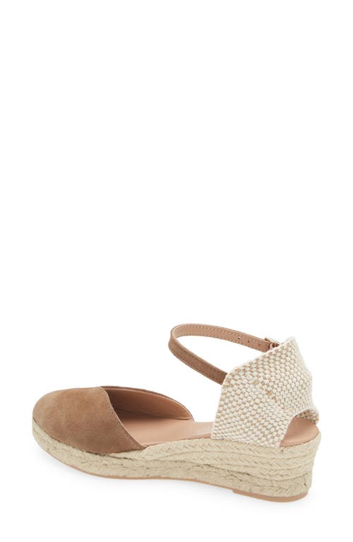 Cordani Elliana Ankle Strap Platform Wedge Espadrille In Fango Suede
