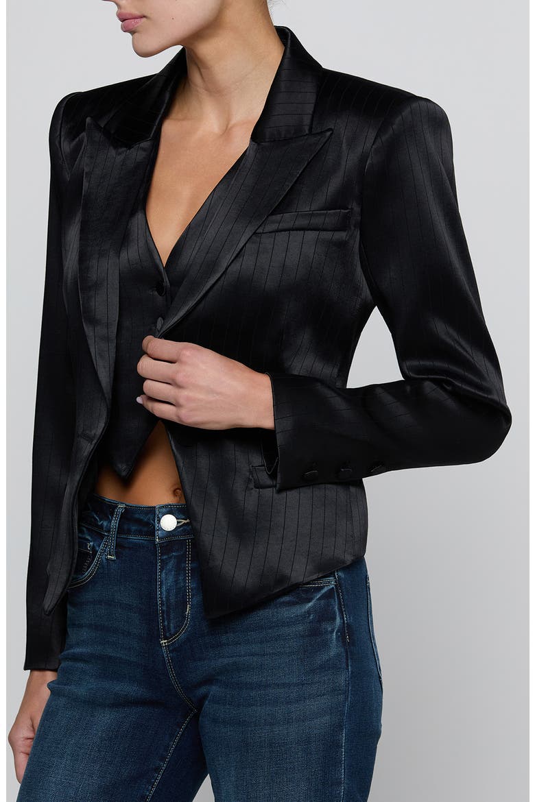 Misa Single Breasted Blazer, Alternate, color, BLACK PINSTRIPE