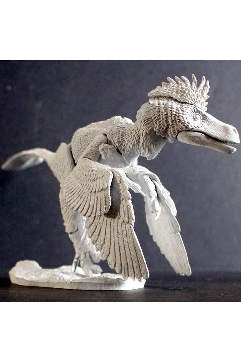 Build A Raptor Set B, Atrociraptor, Alternate, color, Multicolored