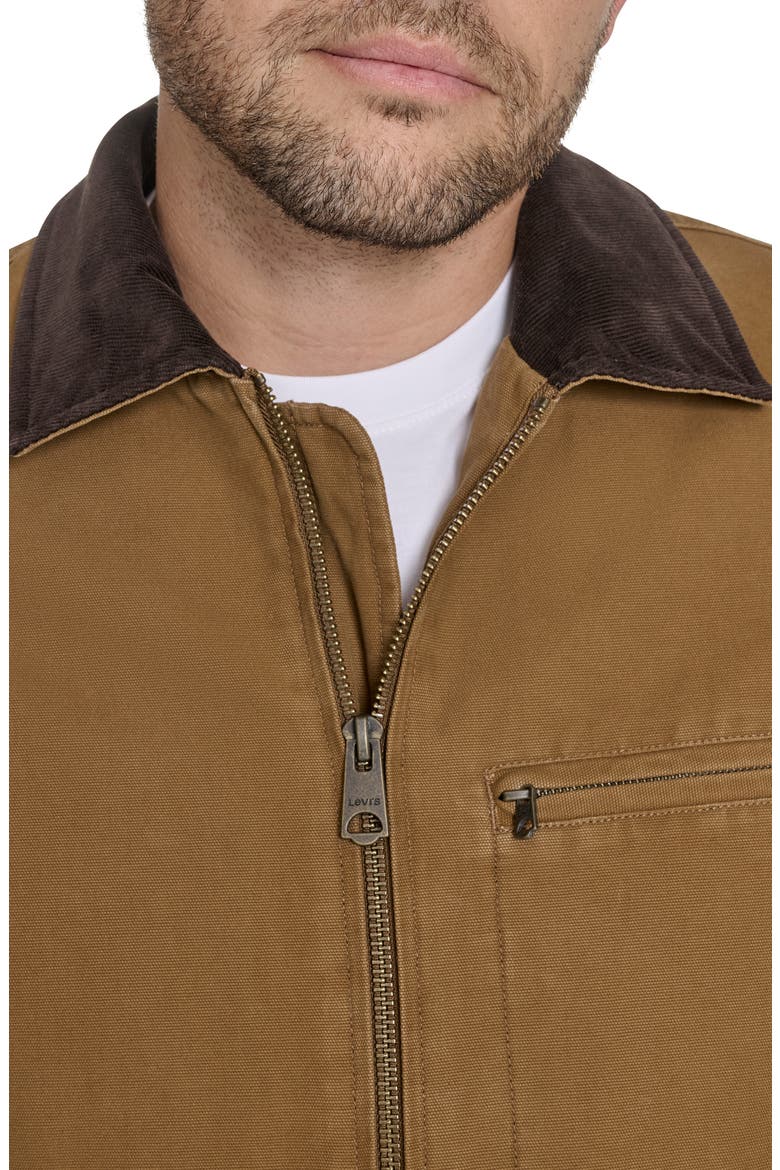 Canvas Utility Jacket with Quilted Lining, Alternate, color, BROWN