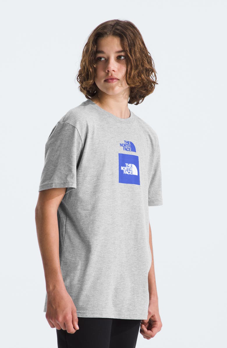 The North Face Graphic Logo T-Shirt, Alternate, color, 