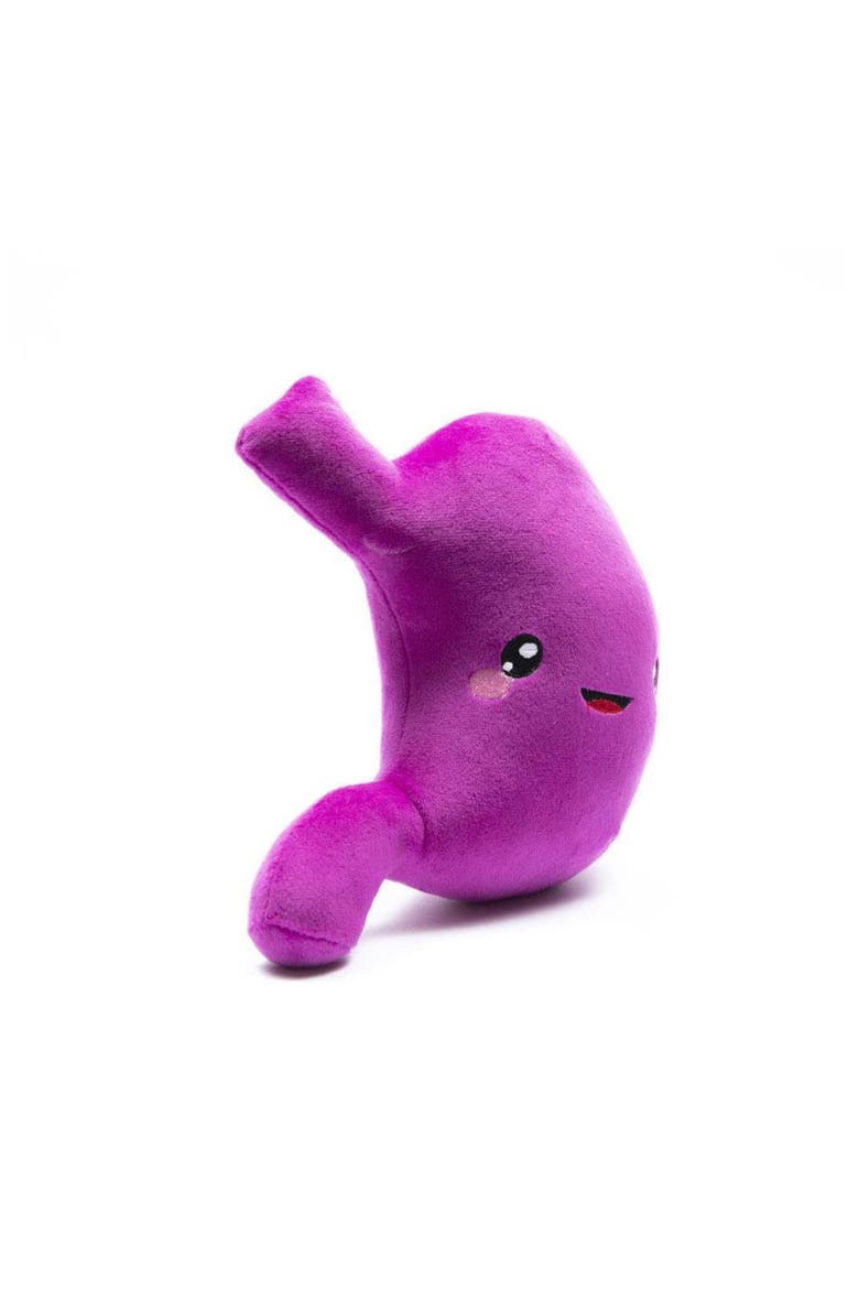 Stomach Plushie Organ Toys, Alternate, color, Dark Pink