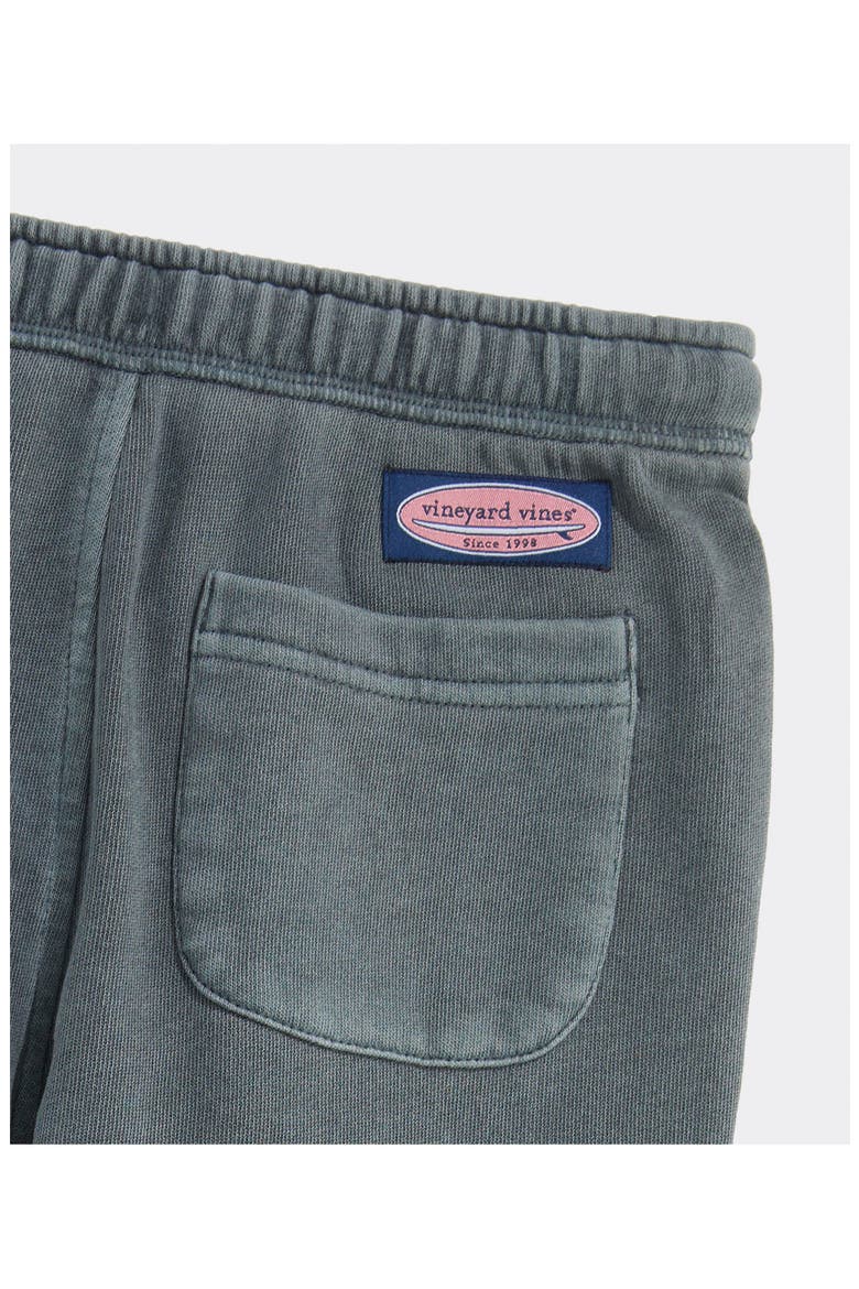 Kids' Surf Terry Straight Leg Pants, Alternate, color, SHELL GREY