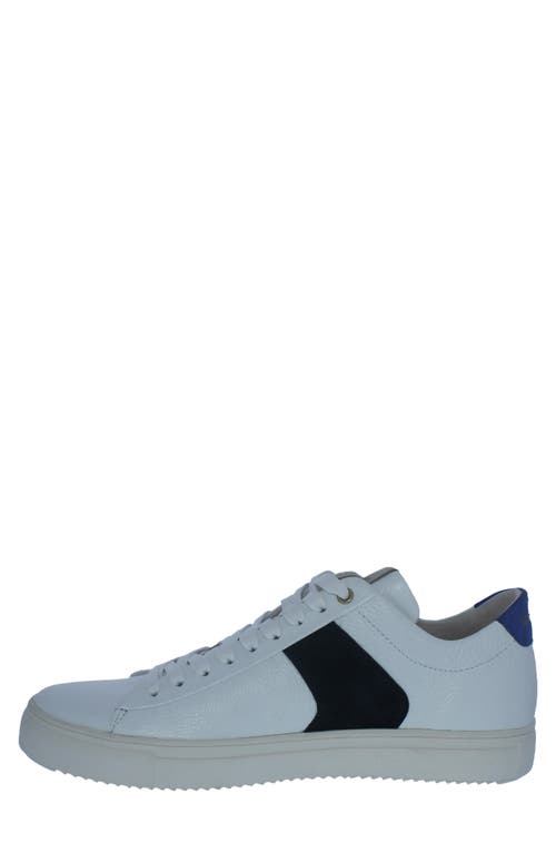 Blackstone Stripe Sneaker In Multi