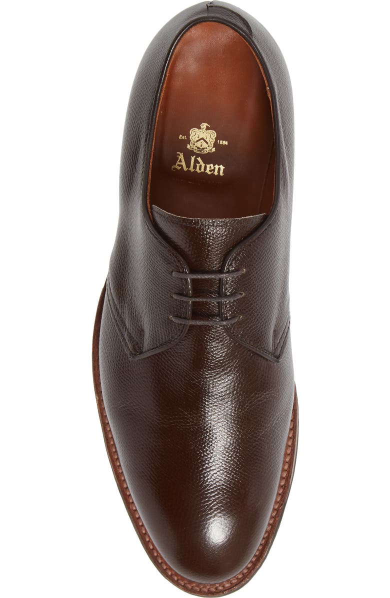 Alden Blucher Plain Toe Derby, Alternate, color,