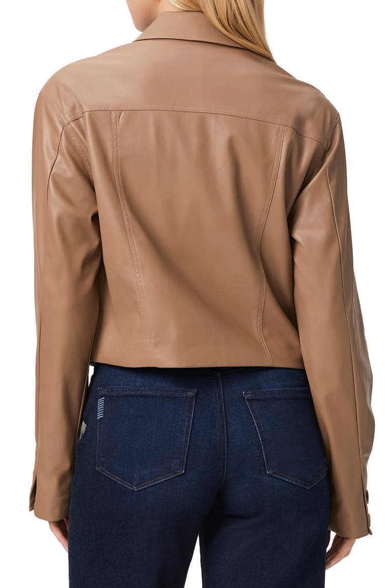 Fenwick Faux Leather Jacket, Alternate, color, BURNT SUGAR
