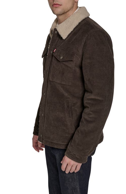 Levi's® Corduroy Faux Shearling Lined Trucker Jacket In Brown