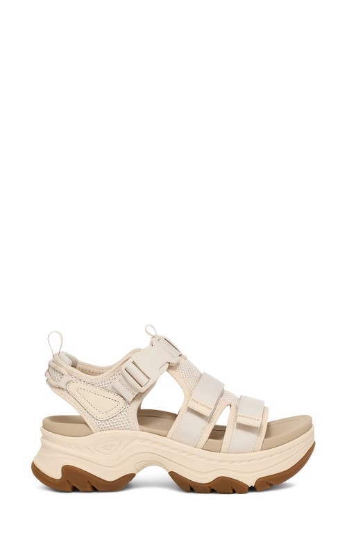 Shop Teva Hurricane Ampsole Gaila Sandal In Birch
