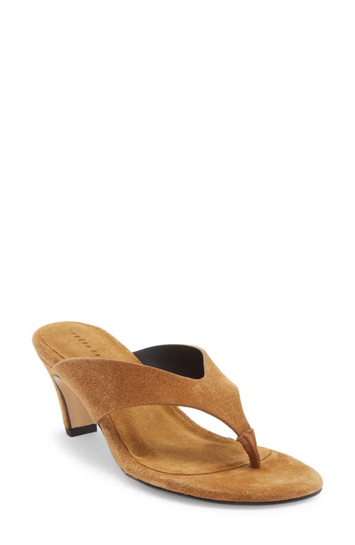 Freda Salvador Flip Flop In Brown