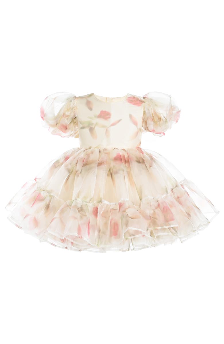 Tulleen Elanora Floral Organza Dress, Main, color, Cream