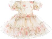 Tulleen Elanora Floral Organza Dress