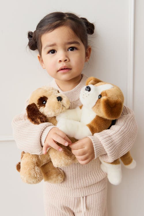Snuggle Bunnies Stuffed Animal Brooklyn The Beagle In Multi