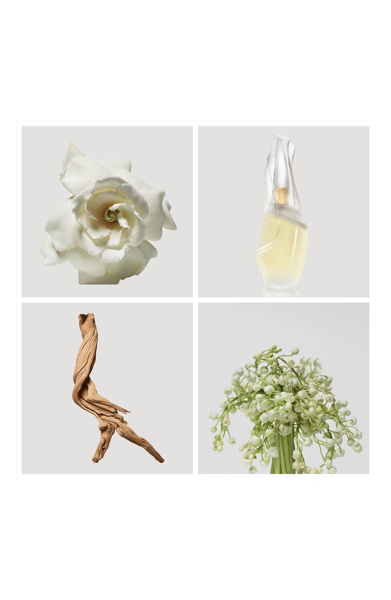 Donna Karan New York Donna Karan Cashmere Mist Eau de Toilette Spray, Alternate, color, 