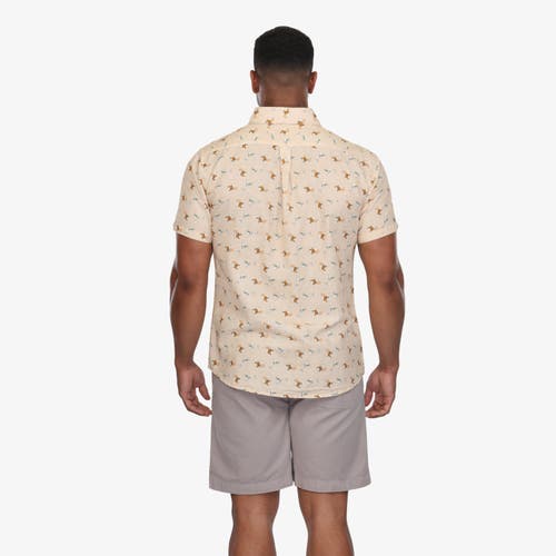 Vustra On The Rocks Button-down Shirt In Neutral
