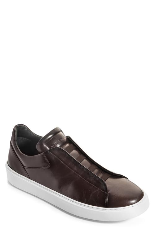 To Boot New York Campion Sneaker In Brown