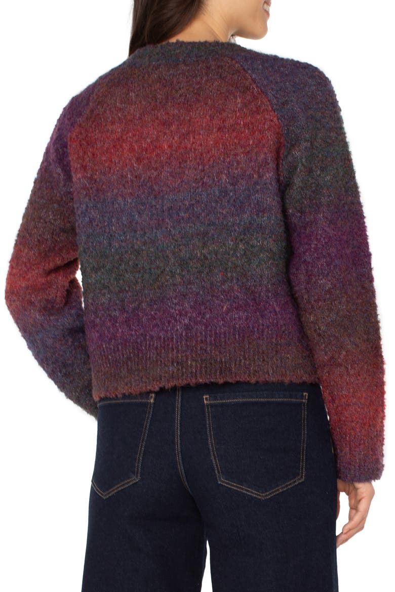 Raglan Sleeve Cardigan, Alternate, color, BERRY / BURGUNDY OMBRE