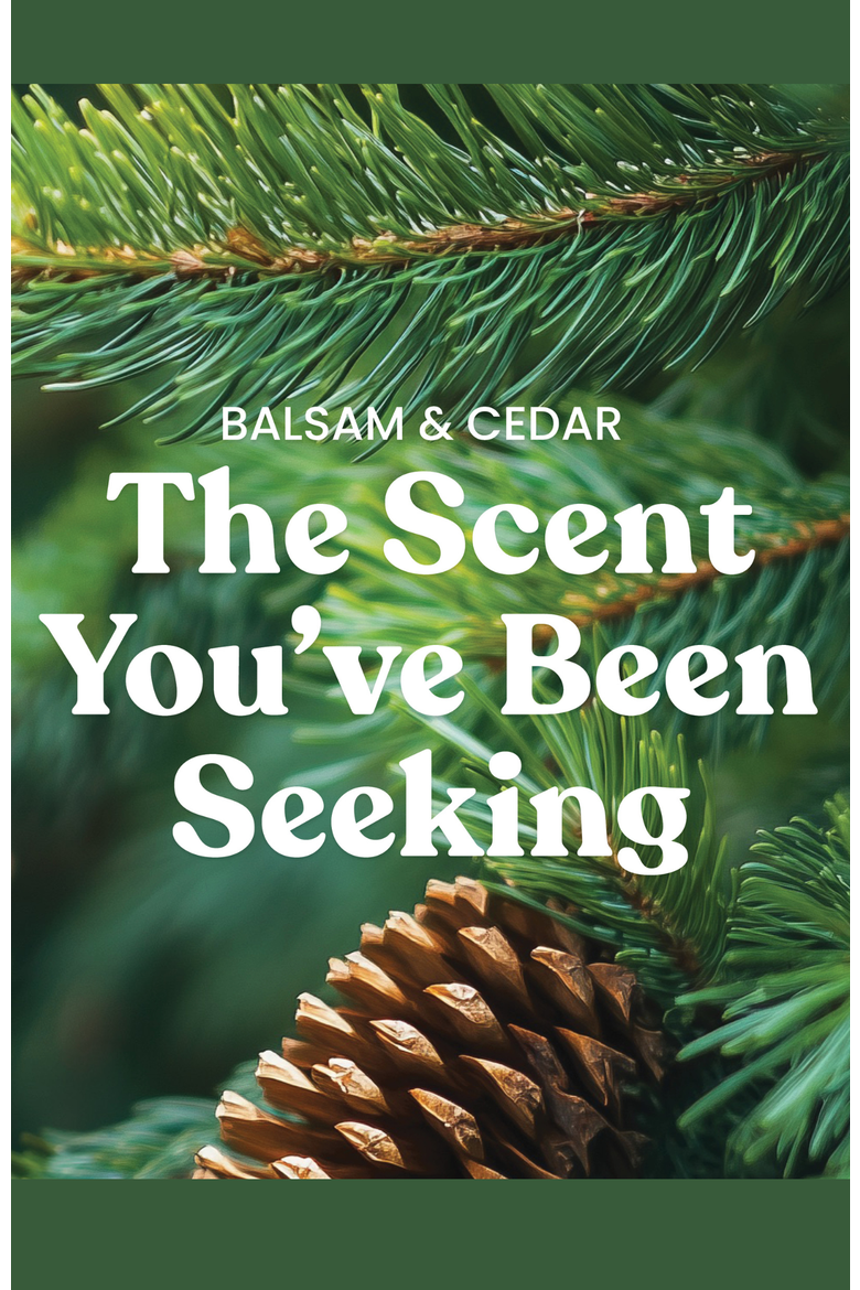 Balsam & Cedar Studio Candle with Essential Oils, Set of 2, Alternate, color, Green
