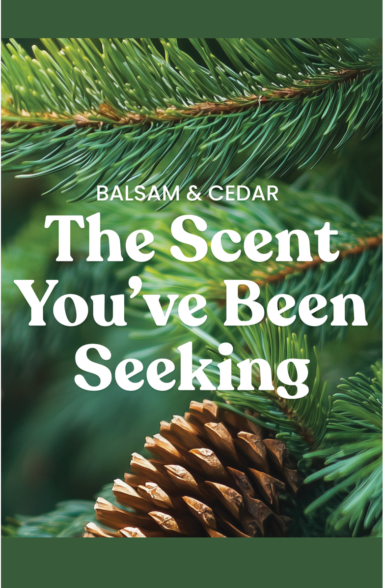 YANKEE CANDLE Balsam & Cedar Studio Candle with Essential Oils, Set of 2, Alternate, color, Green