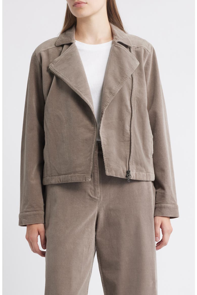 Short Rider Jacket, Main, color, TAUPE