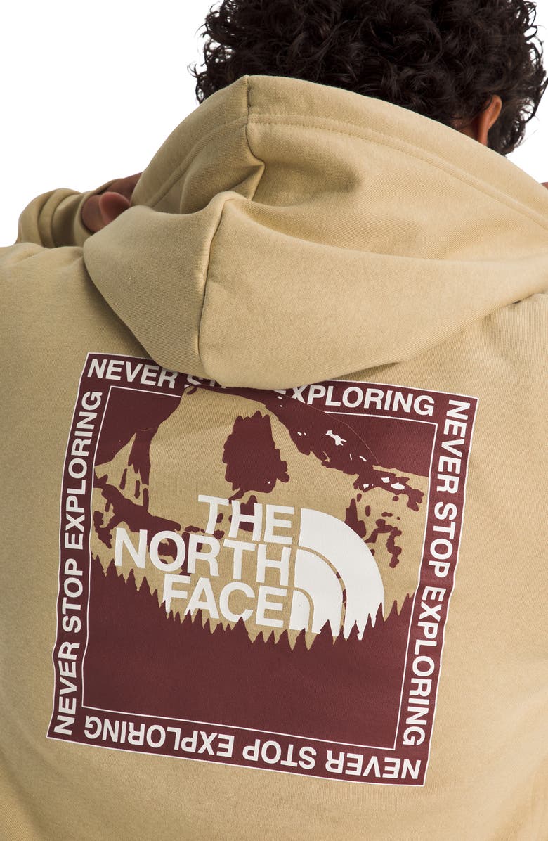 The North Face Stay Exploring Regular Fit Cotton Blend Hoodie, Alternate, color, Khaki Stone