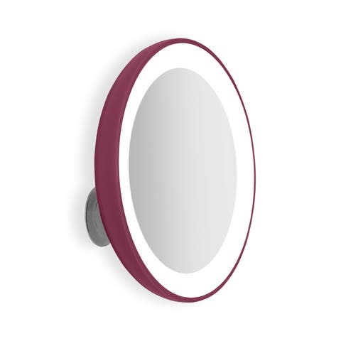 Lighted Compact Mirror with 10X Magnification 
Suction Cup