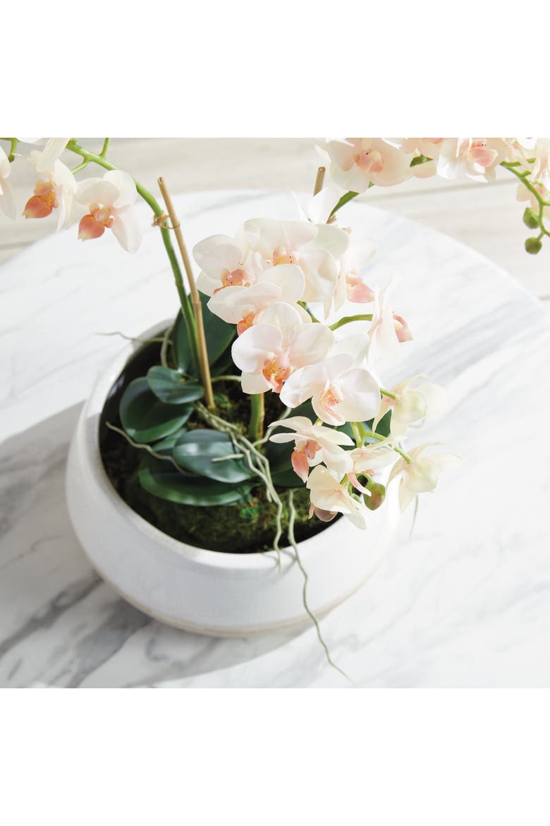 Phalaenopsis Mini Garden Artificial Plant Drop-In, Alternate, color, Pink