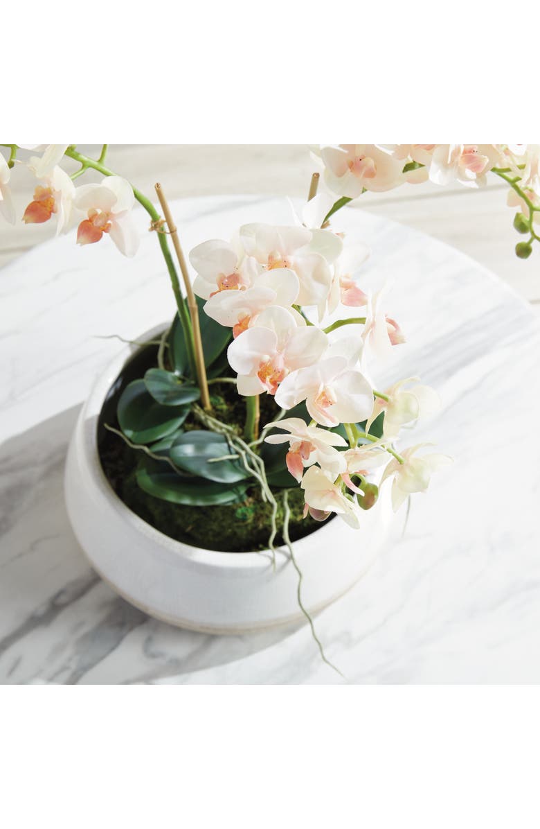 Napa Home & Garden Phalaenopsis Mini Garden Artificial Plant Drop-In, Alternate, color, Pink