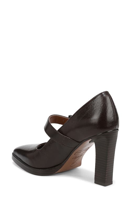 Franco Sarto Shalina Pump In Brown