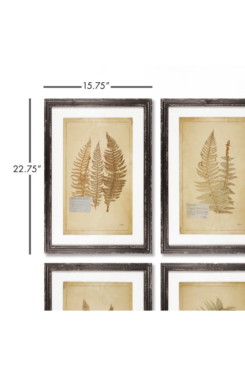Napa Home & Garden Framed Vintage Fern Prints Set of 8, Alternate, color, Brown
