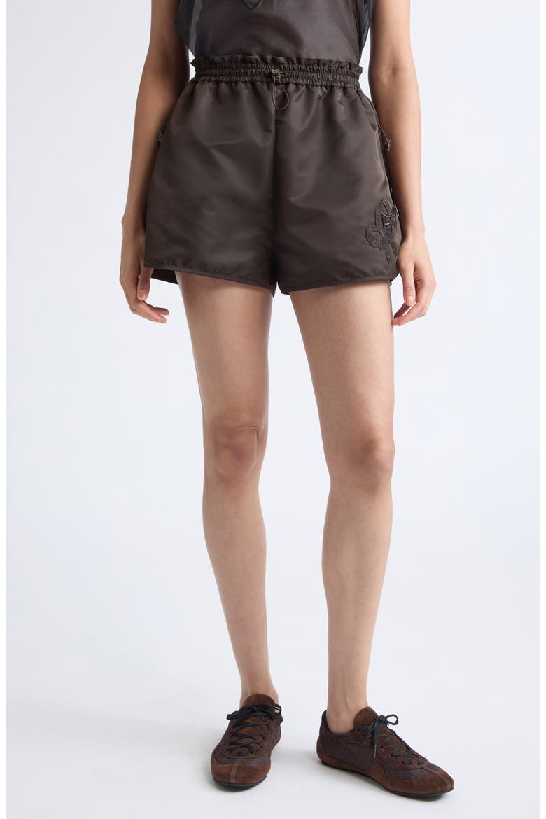 Colette Nylon Shorts, Main, color, BROWN