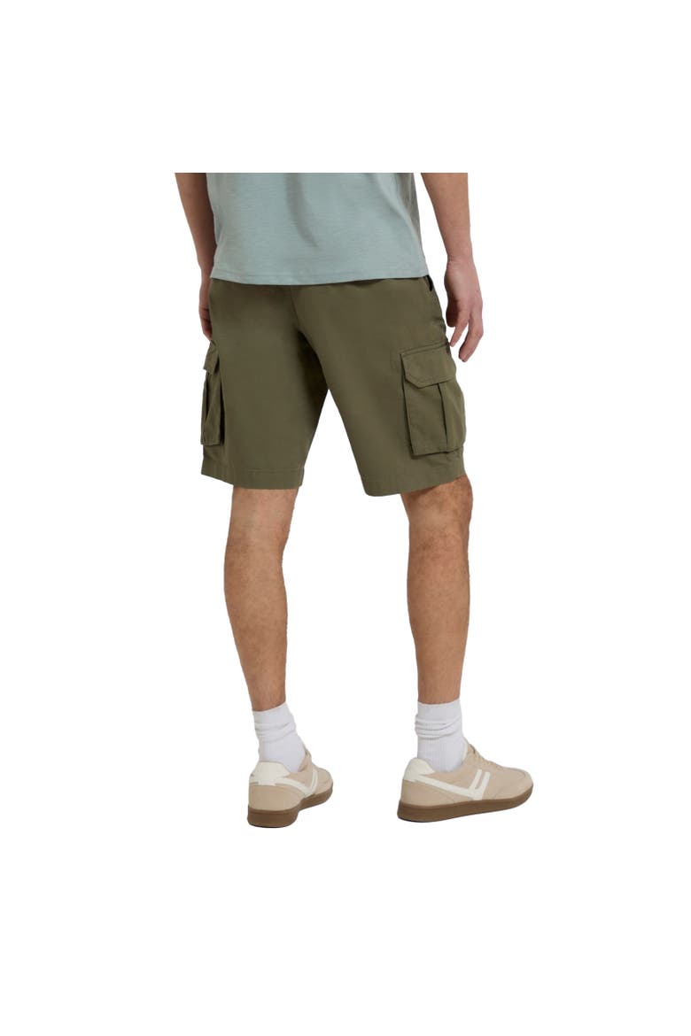 Haze Natural Cargo Shorts, Alternate, color, Green
