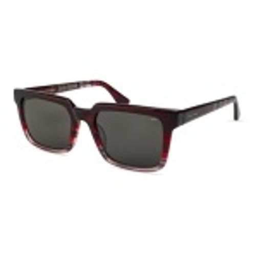 Italia Independent Corsaro Sunglasses In Brown