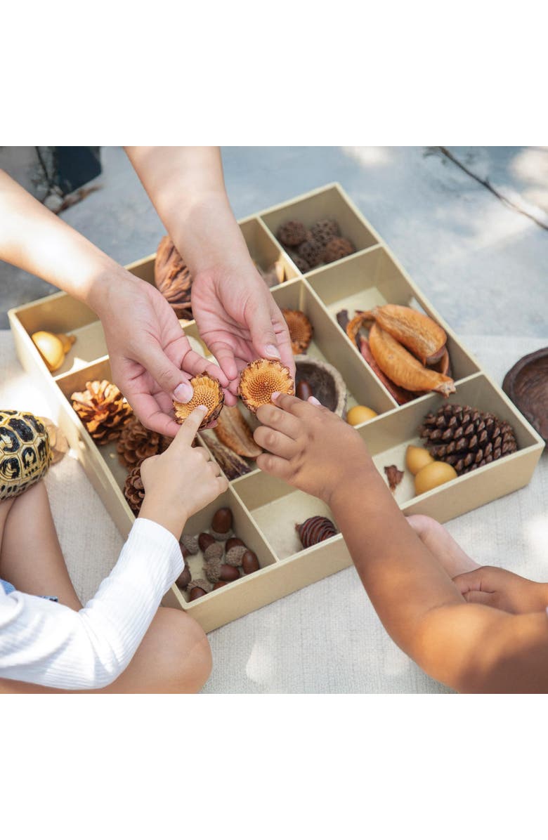 Kaplan Early Learning Company Loose Parts Stackable Tray - Poly+, Alternate, color, Natural