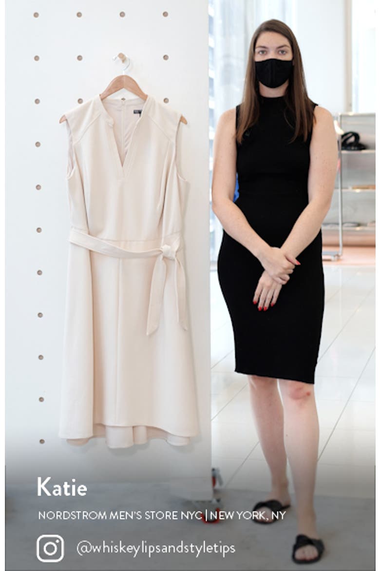 Seamed Sleeveless Fit & Flare Midi Dress video