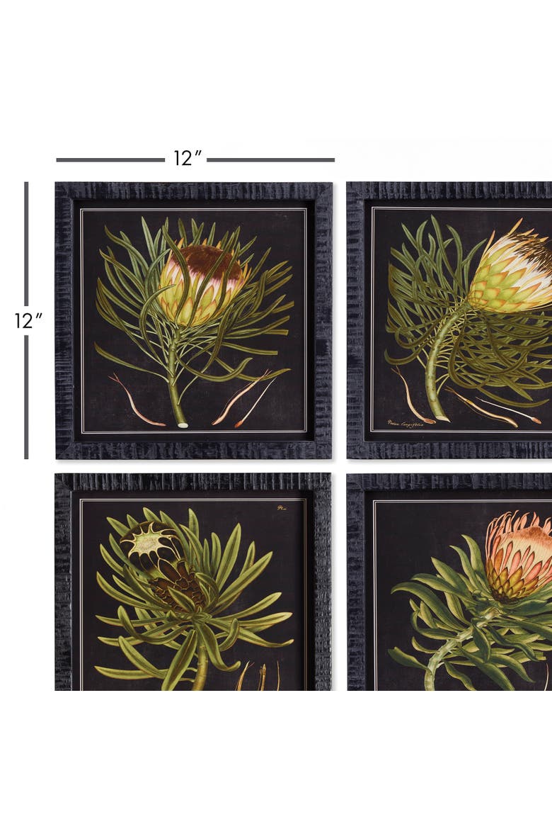 Protea Petite Prints Set of 4, Alternate, color, Black