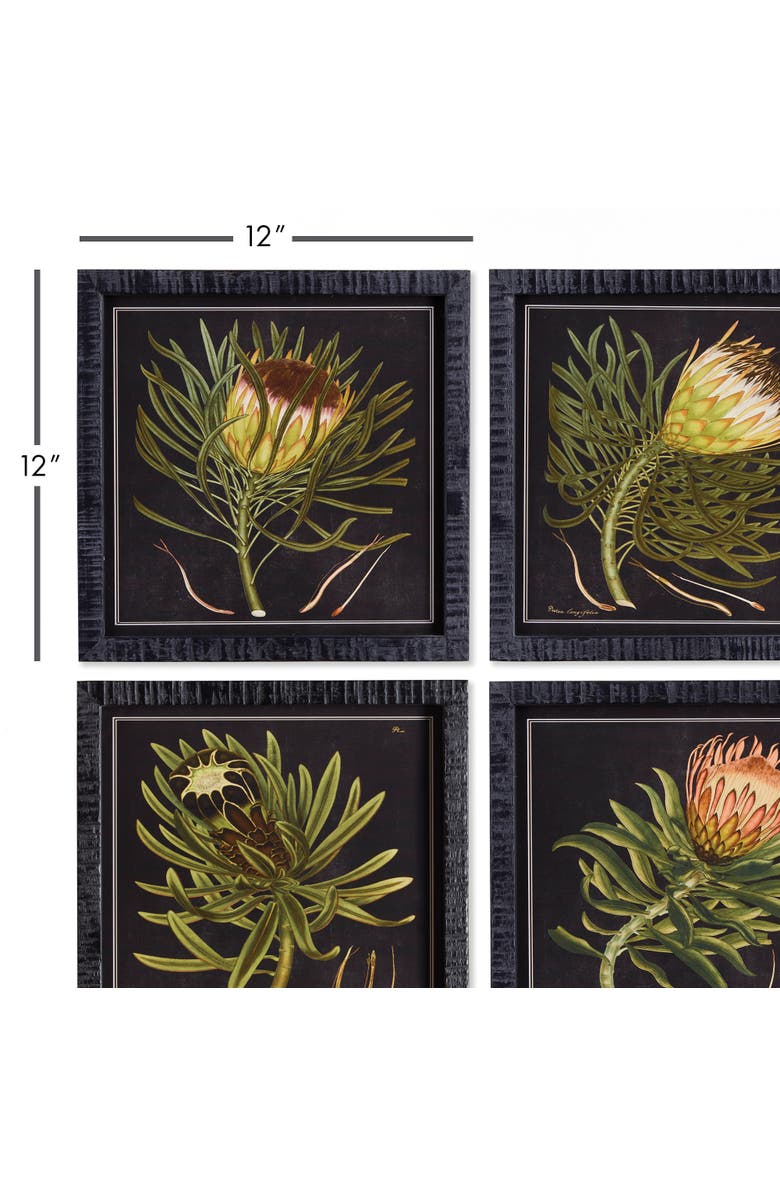 Napa Home & Garden Protea Petite Prints Set of 4, Alternate, color, Black