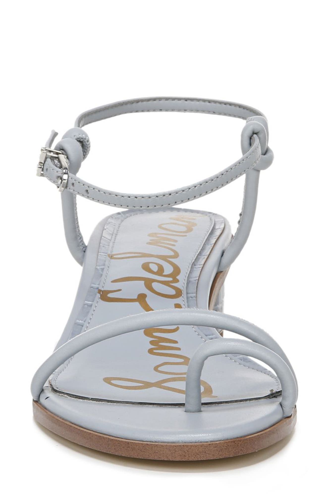 Isle Strappy Sandal, Alternate, color, CLOUD BLUE LEATHER