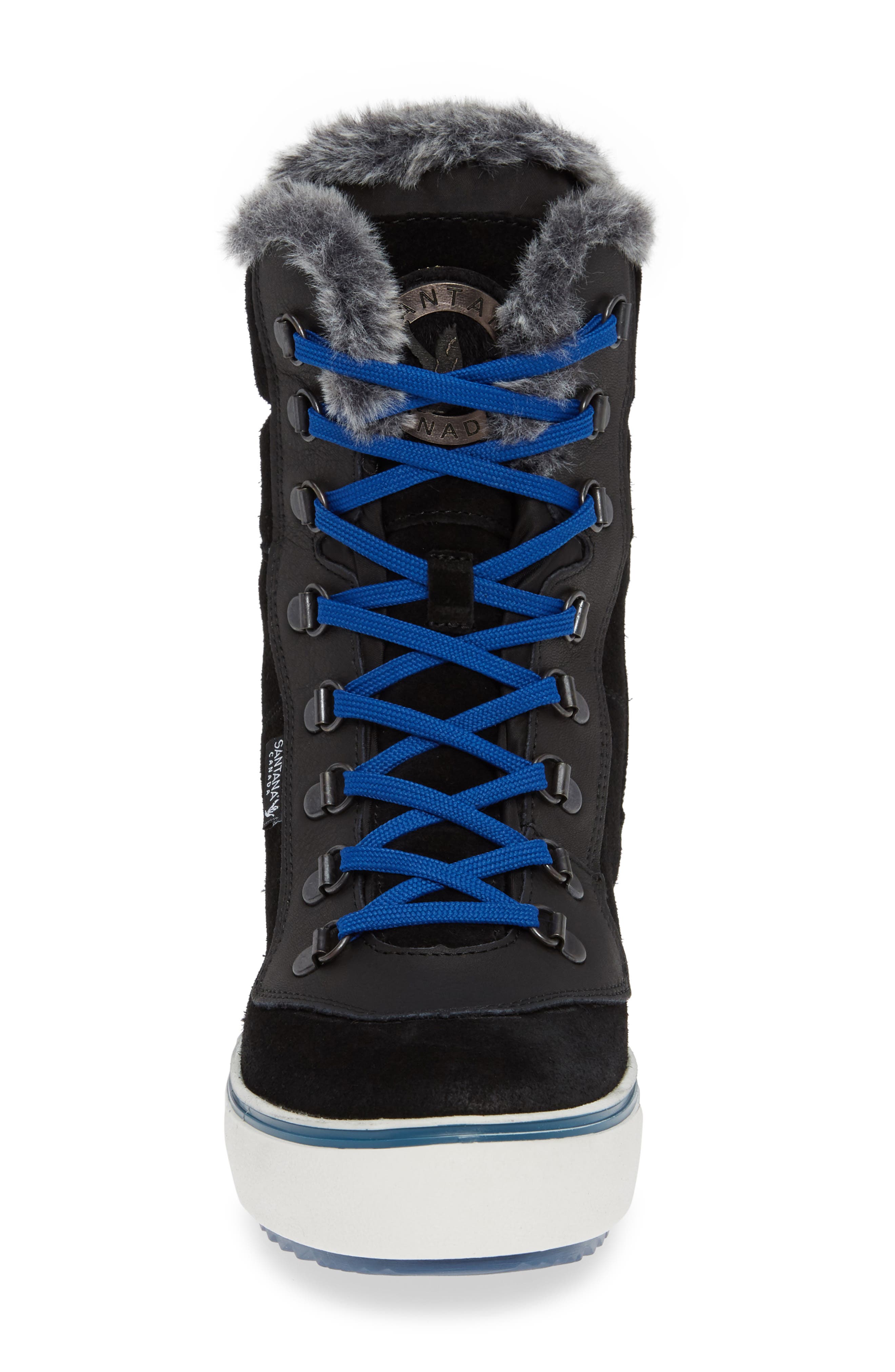 Mid Water Resistant Winter Boot, Alternate, color, BLACK SUEDE