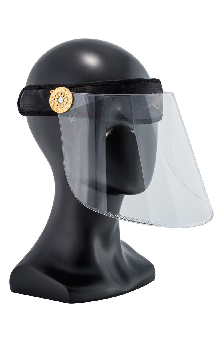 Bluestone Sunshields Photochromatic Face Shield, Alternate, color,