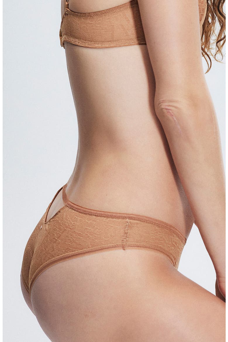 Signature Script Cheeky Briefs, Alternate, color, SWEET LATTE NUDE