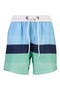 Stripe Volley Swim Trunks