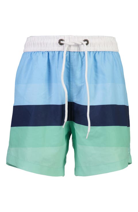 Stripe Volley Swim Trunks (Toddler & Little Boy)