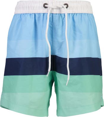 Stripe Volley Swim Trunks