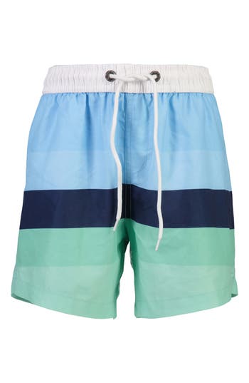 Snapper Rock Stripe Volley Swim Trunks In Blue/mint/navy