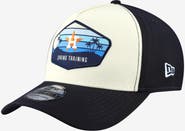 New Era Men's New Era Stone Houston Astros 2026 Spring Training Fan Pack Gradient 39THIRTY Flex Hat