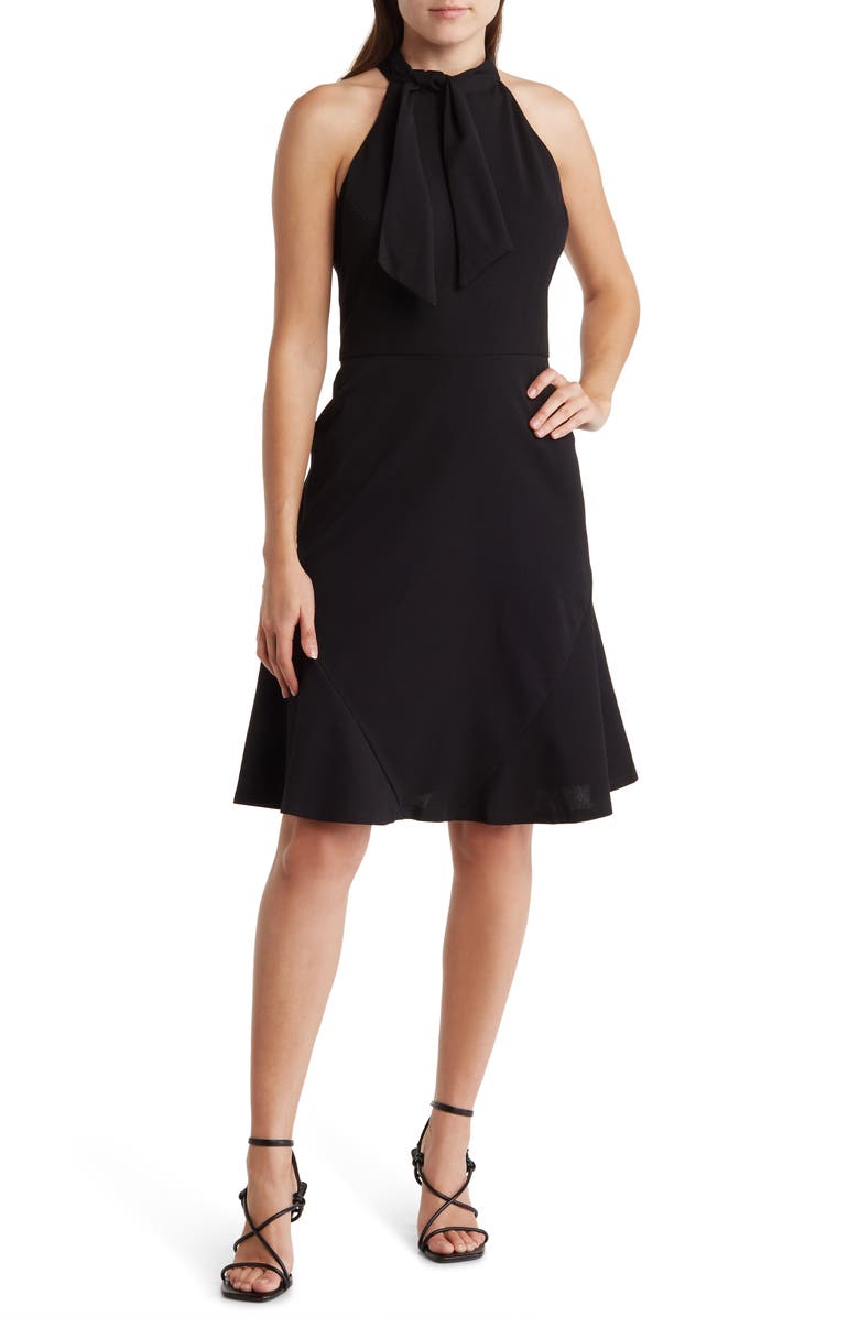 Maggy London Tie Neck Sleeveless Fit & Flare Dress, Main, color,