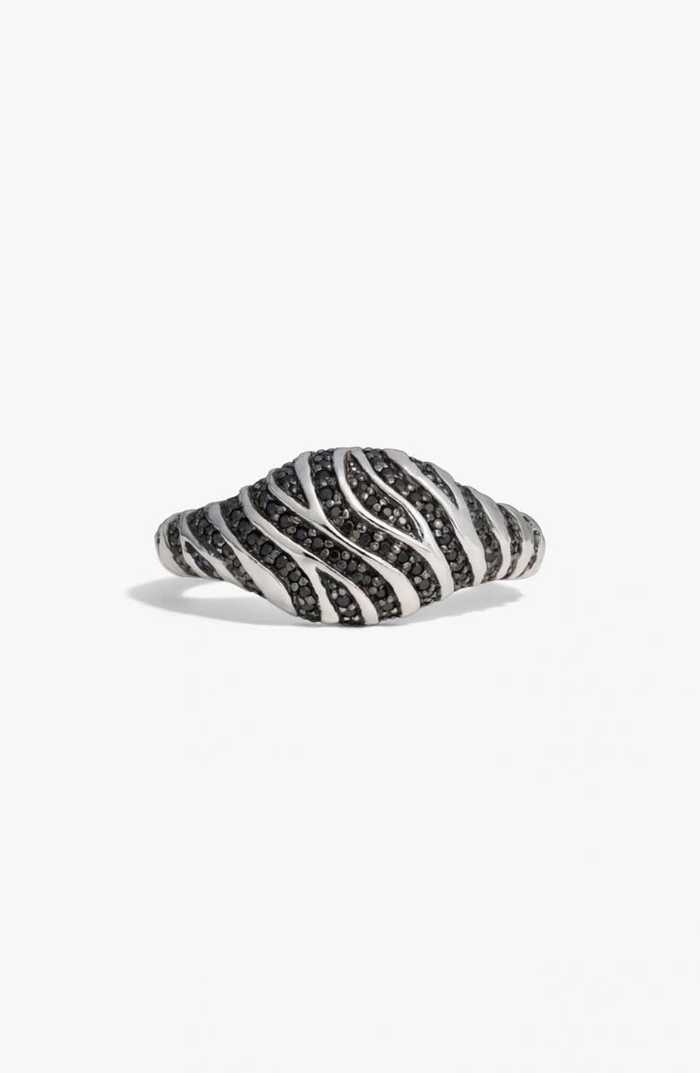 Awe Inspired Primal Panthera Signet Ring, Main, color, 925 Sterling Silver