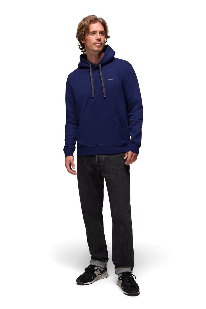 Fleece Hoodie, Alternate, color, CAPULET BLUE
